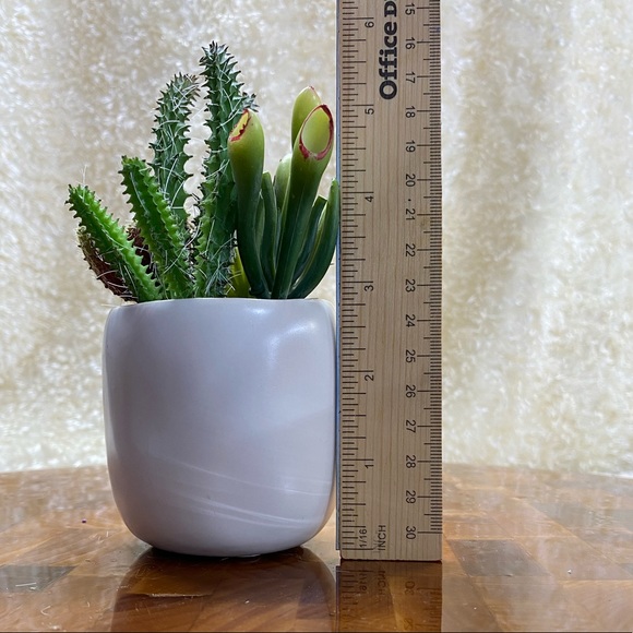 Faux succulents in 2.5”x3”H circular Pot (2 designs available). - Picture 7 of 9